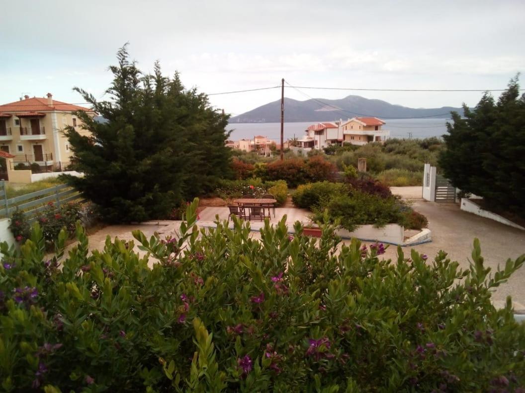 Aliveri Flat With Sea View Extérieur photo
